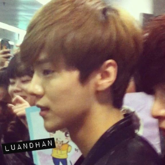 120424 EXO-M airport - Luhan Tumblr_m2z7hzjjxC1rp5e9qo3_1280