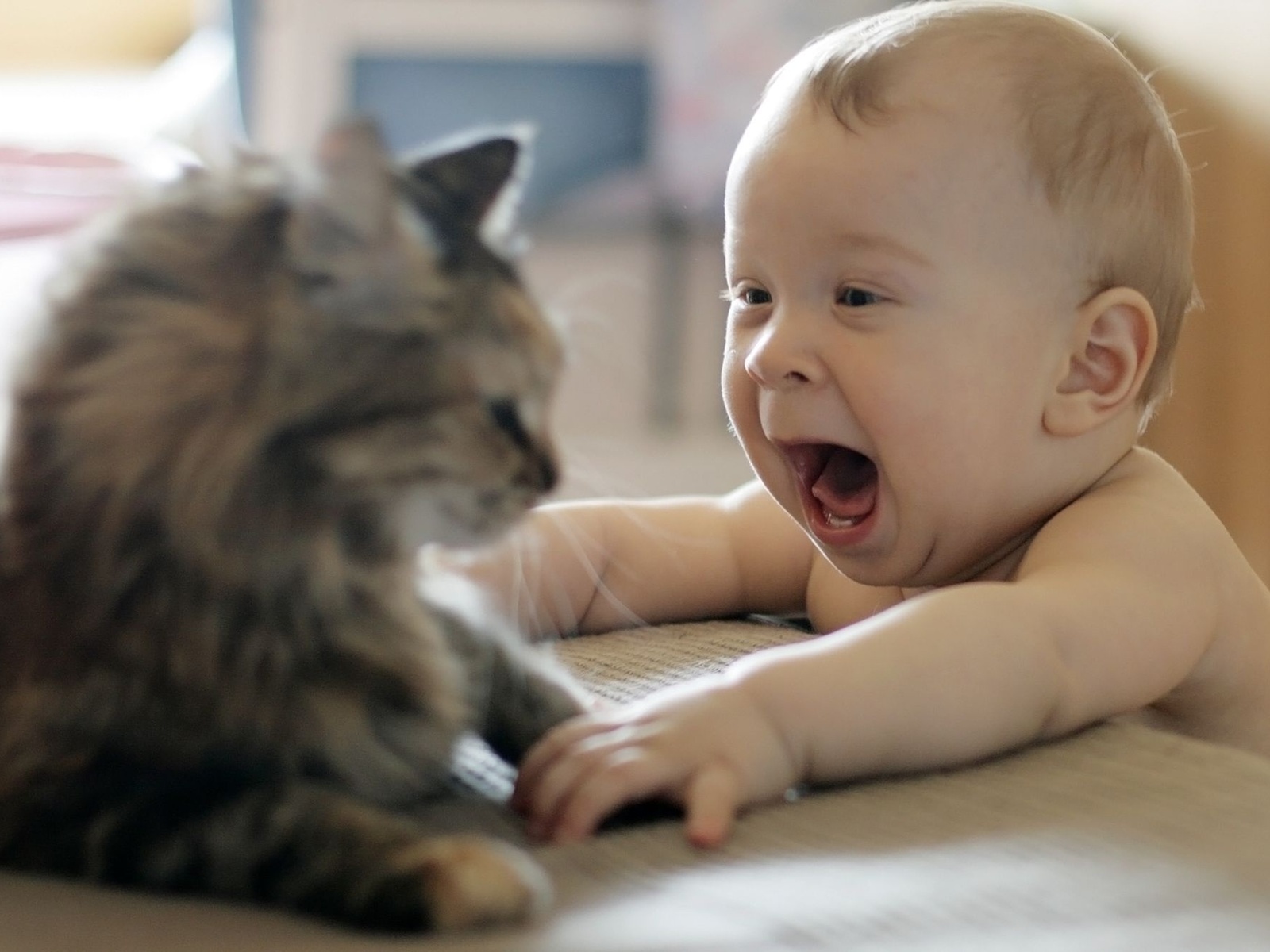 ESOS LOCOS BAJITOS .... - Página 19 Fotos-de-ni%25C3%25B1os-lindo-bebe-jugando-con-el-gato