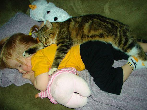  صور مضحكة لأطفال ينامون فى أغرب الأماكن Funny-Baby-Girl-sleeping-with-cat