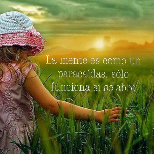  CITAS CELEBRES, DESMOTIVACIONES...... - Página 20 Funciona