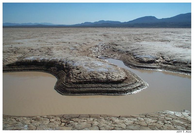 The Dry Lake 800px-Mojave_CoyoteDryLake