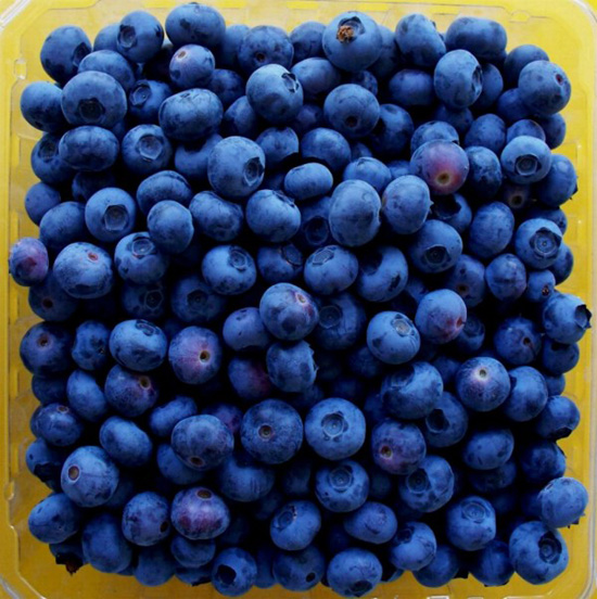 உடல் ஆரோக்கியம் தரும் பழங்கள் சில Blueberries