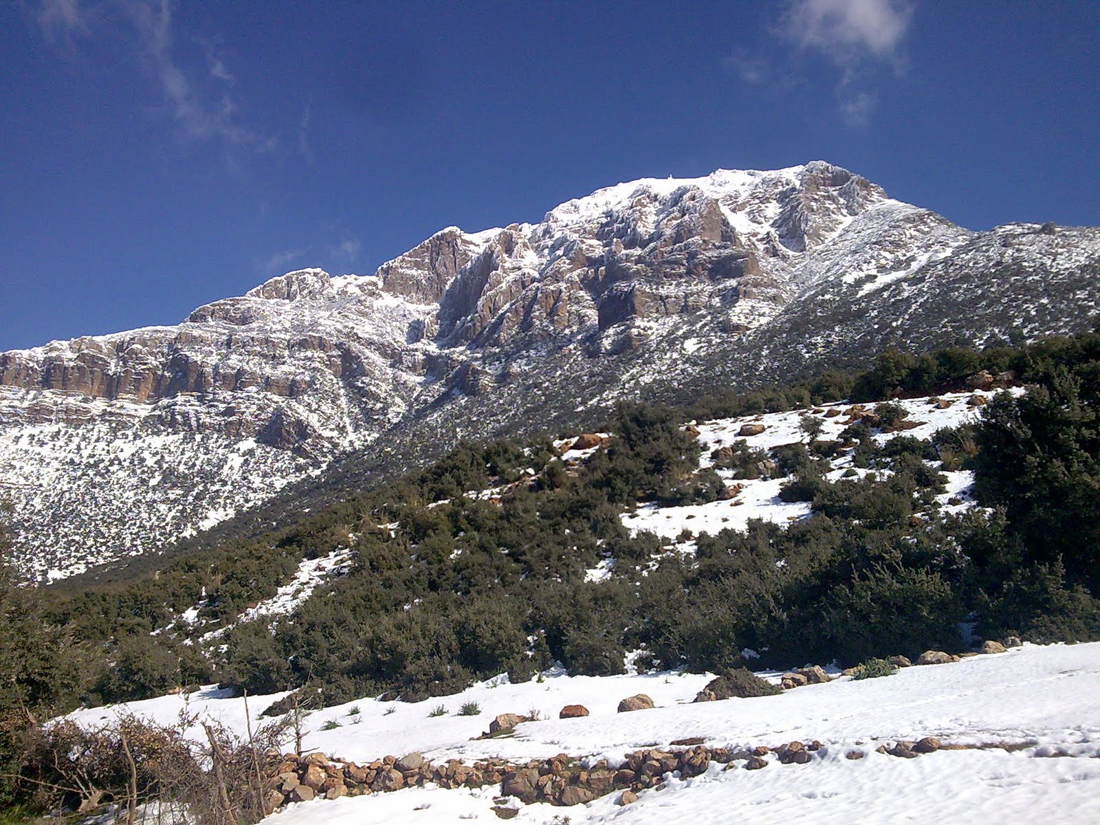  صور رائعة لجبال الونشريس لا تفوتوها  Image017