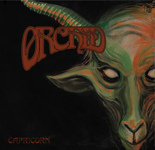 List Your Top 10 music releases of 2011 (if you have 'em) Orchid