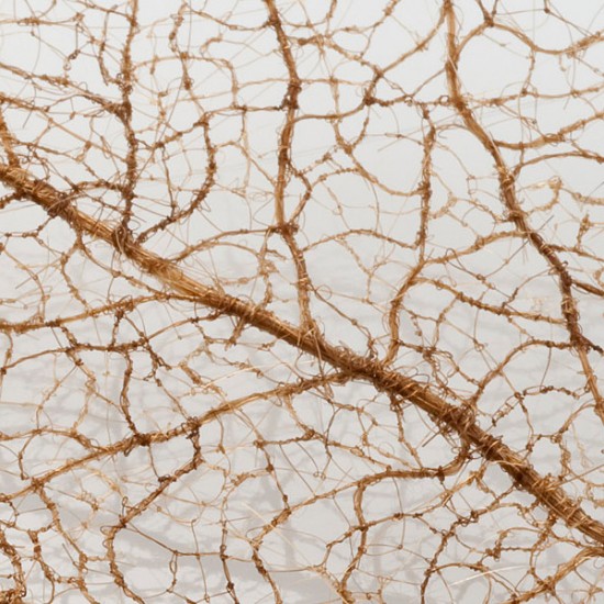 لوحات فنية لأوراق الشجر وبعض الأعمال الفنية من شعر  Human-hair-leaves2-550x550