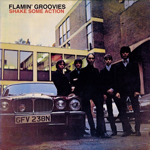 Flamin Groovies Fgroovies