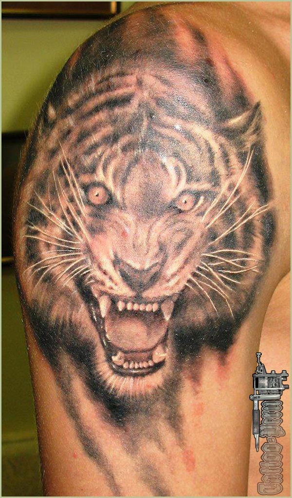 GALERIA DE TATUAJES Y BODY PIERCING. FOTOS DE TATUAJES. GALERIA FULL COLOR Tatuajes_de_tigres