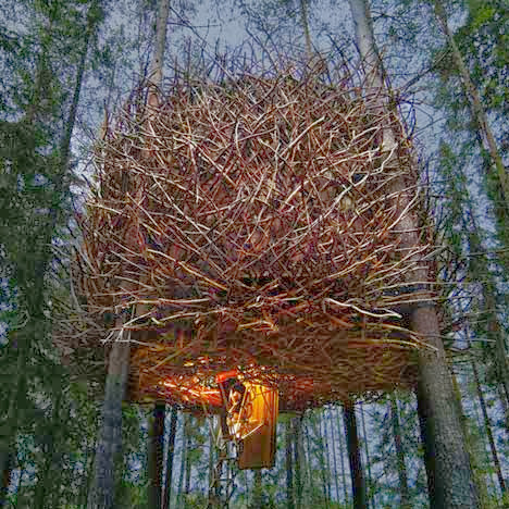 فندق عش الطير في السويد   Dezeen_-The-Birds-Nest-by-Inrednin-Gsgruppen-1