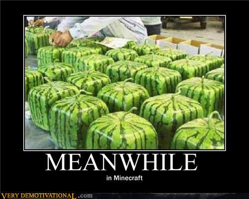 THIS!!!!!!!!!!!!!!!!!!!!!!!!!! Demotivational-posters-meanwhile-in-minecraft