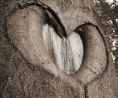 Con mi novia; en la feria .. (libre para quien se atreva a ser)  Heart-tree-crop