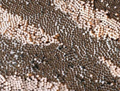 سجادة جلد النمر باستخدام خمسمائة ألف سيجارة Xubing-tobacco-rug-5