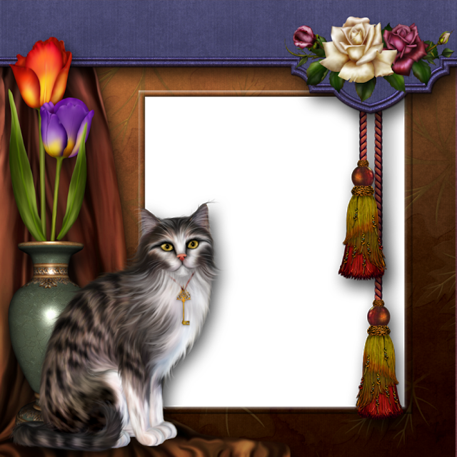 أيطآرآت مميزة للتصميم Cat_frame_by_collect_and_creat-d4iayhc