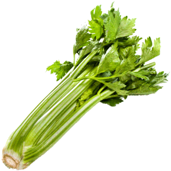 الكرفس وفوائده  Celery-stalk