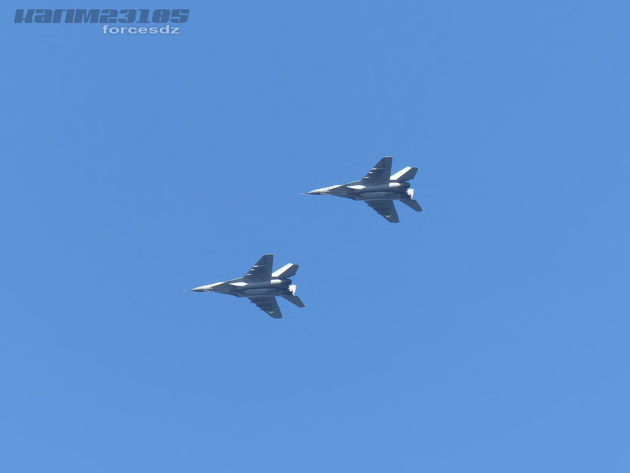 صور طائرات القوات الجوية الجزائرية  [ MIG-29S/UB / Fulcrum ] 5