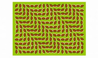 صور ساحره Great-optical-illusions-13