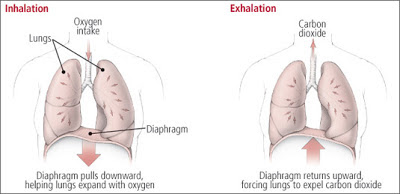 Yoga and Meditation Deep_breathing