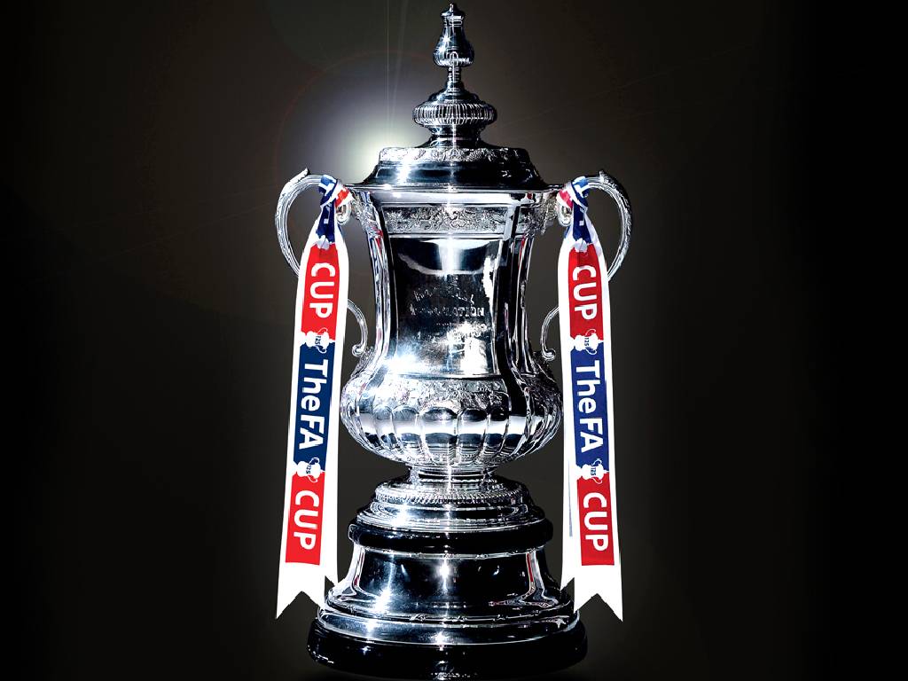 FA Cup 2012-2013 45376656091