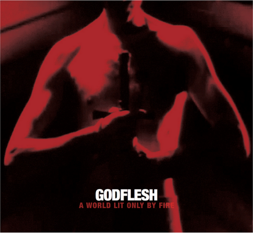 Qu'est ce que vous écoutez en ce moment ? - Page 15 Godflesh-wlobf