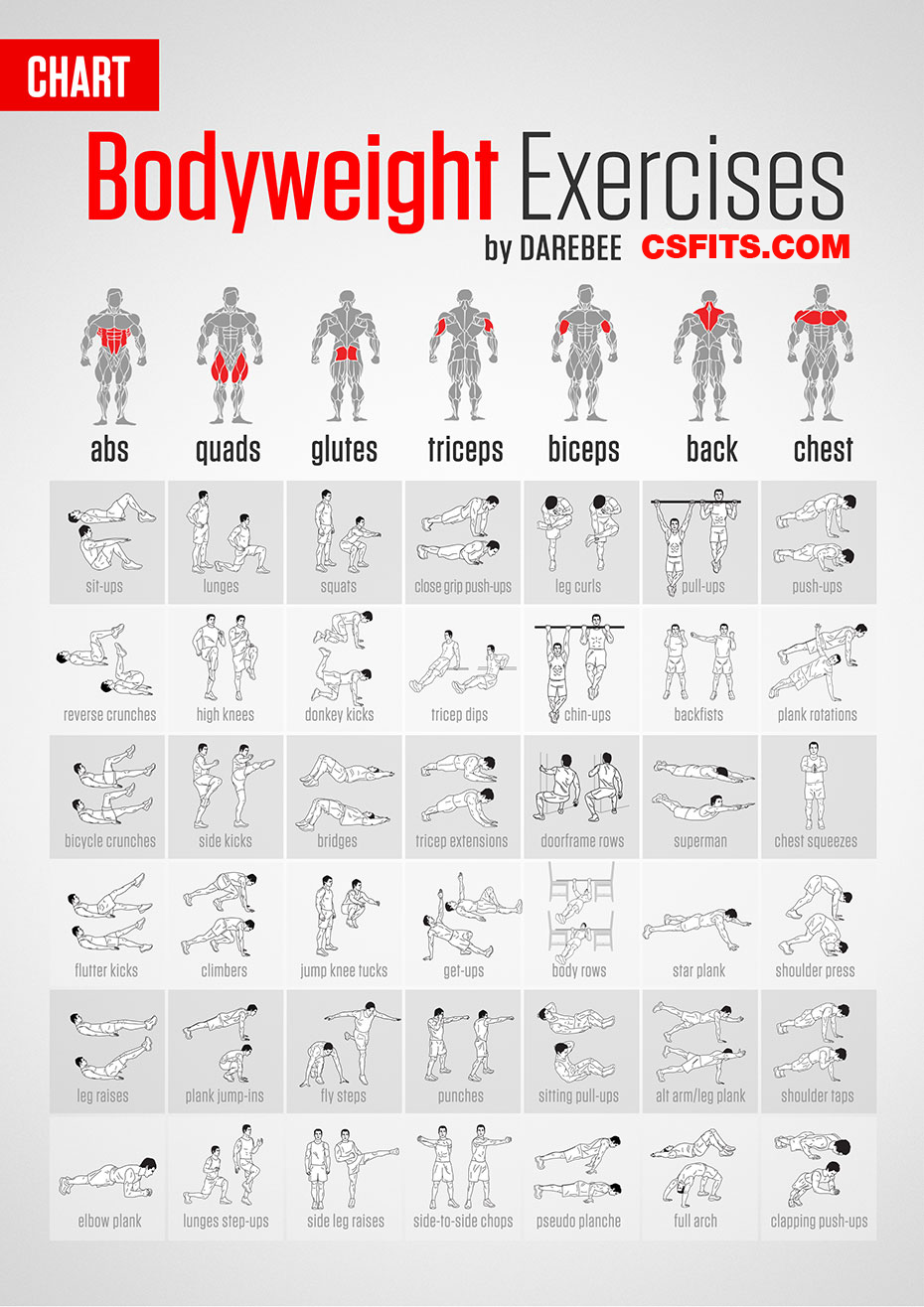 Parunchai Kochseni No.8 Bodyweight-exercises-chart%2Bcopy
