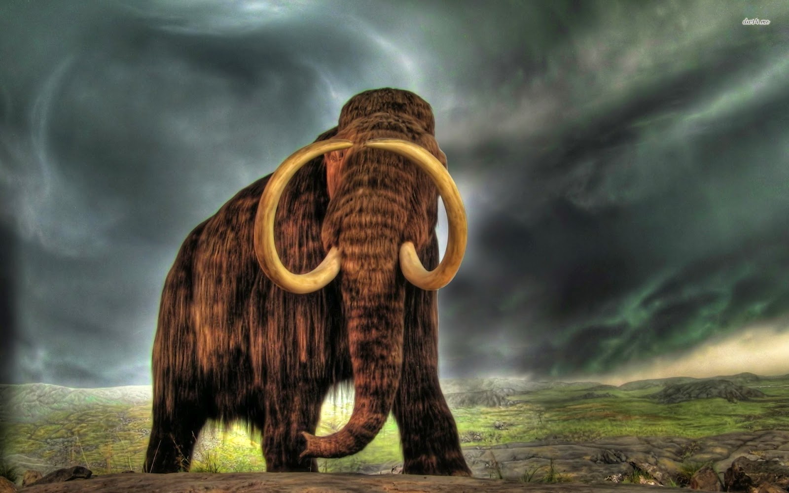 حقائق تاريخية 14866-mammoth-1920x1200-digital-art-wallpaper