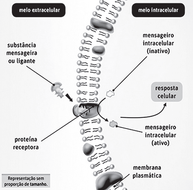 UESB 2015 Sem%2Bt%25C3%25ADtulo