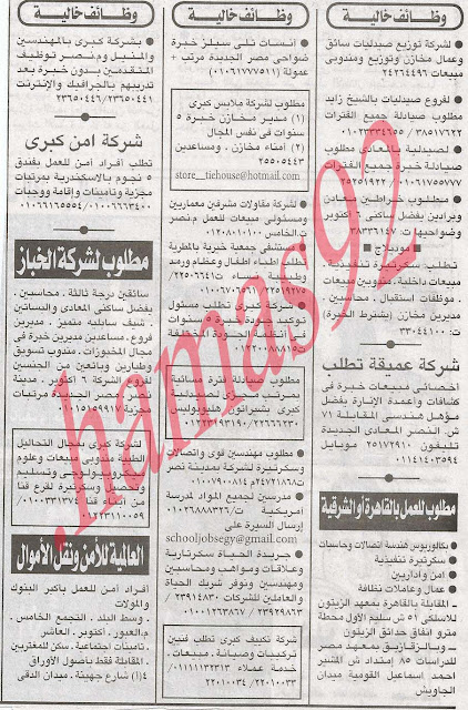 وظائف وفرص عمل جريدة الاهرام الجمعة  8/2/2013  6