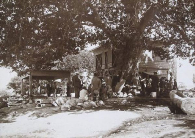 	Ağaç zarar görmesin diye evi yürüten adam Resim-8