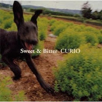 Curio (Single, Albums) Cover