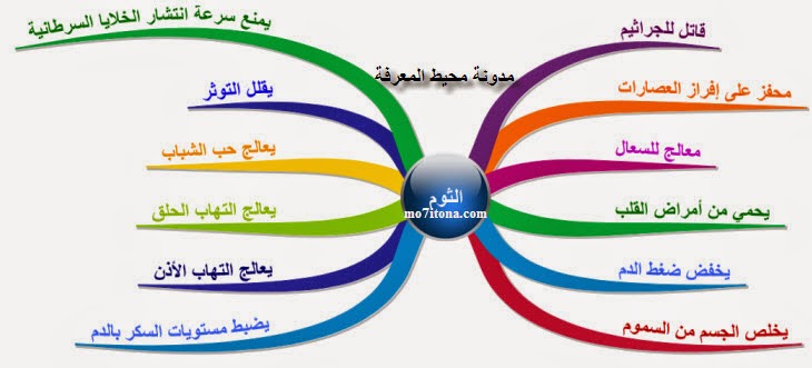 متجدد : معلومة طبية وصحية - صفحة 2 %D8%A7%D9%84%D8%AB%D9%88%D9%85