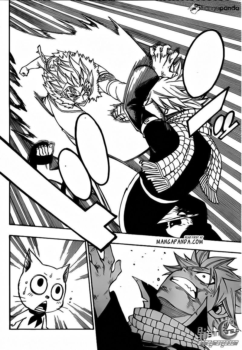 Fairy Tail Capitulo 295 08