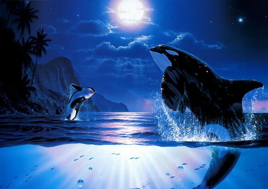 MOON NIGHT - Página 3 130414_orcas-en-noche-de-luna-llena_pretty-cool-and-funny-pics