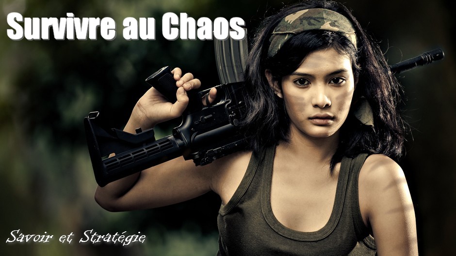 AR-15 pour Survivalist. - Page 3 Banniere82807