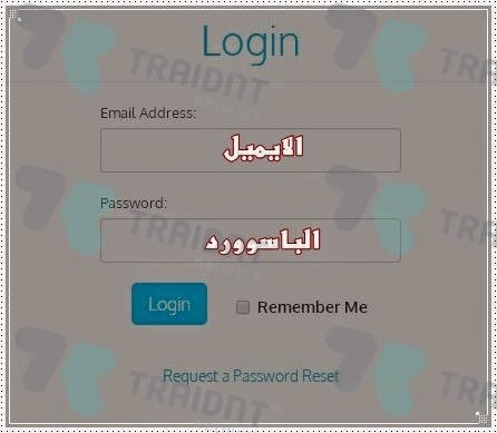 شرح الحصول على ضومين مجانى لموقعك GYy70438