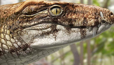 Réptil brasileiro extinto morreu na lama  Reptil