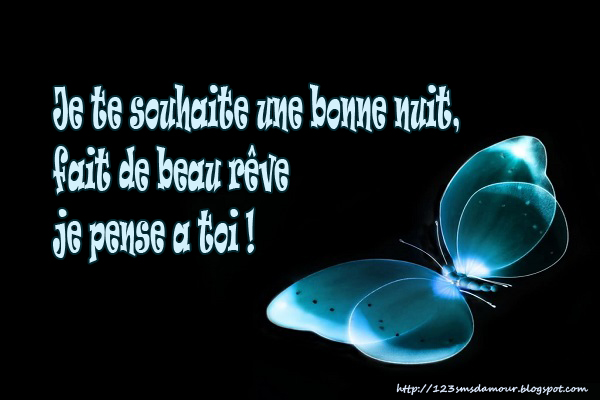 . °•. °•. Bonjour/Bonsoir .•° .•° . - Page 20 Sms-d-amour-bonne-nuit-2