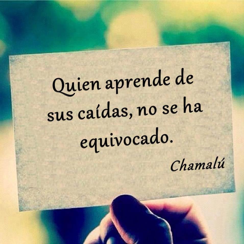 >>>***CITAS, FRASES GENIALES, MOTIVADORAS***<<< - Página 20 Frases-cortas