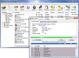 برنامج التحميل في نسخته الجديدة Internet Download Manager 6.18 Build IDM_12_idm_250