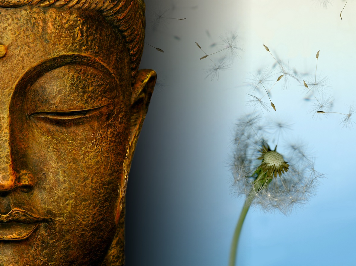 La Vida de Buda Buddha-wallpapers-photos-pictures-dandelion