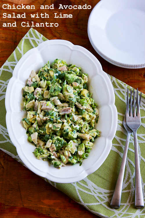 Chicken and Avocado Salad with Lime and Cilantro Chicken-avocado-salad-text-500-kalynskitchen