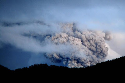 ALERTA AMARILLA COMPLEJO VOLCANICO - Comenzó la erupción del volcán Puyehue en Chile - Página 44 2013_3_9_KGqIUXd4ywTontETfS1jX6