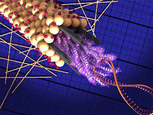 Energía solar asistida por un virus Virus-celda-solar