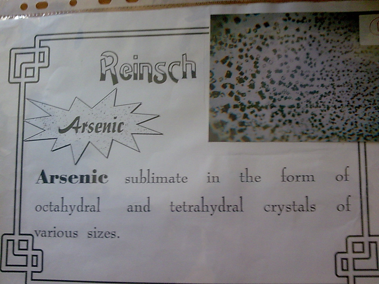 reinsch test spots  7