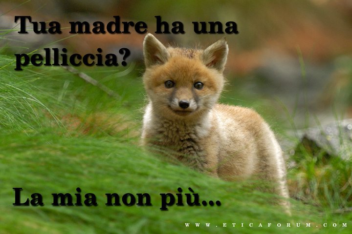 Il Pianeta è di tutti!!! - Pagina 22 Animali