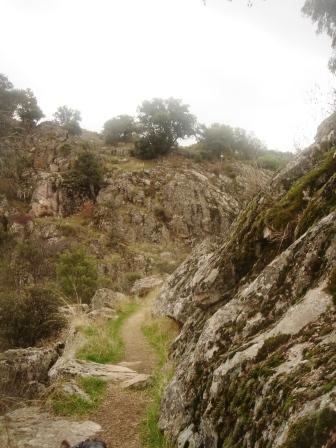 Ruta de los Molinos (Navalagamella - Madrid) Ruta%20de%20los%20Molinos%20Navalagamella%20%2837%29