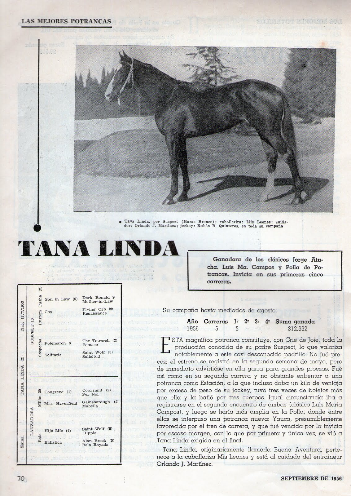 Caballos de todos los tiempos - Página 29 Tanalinda099