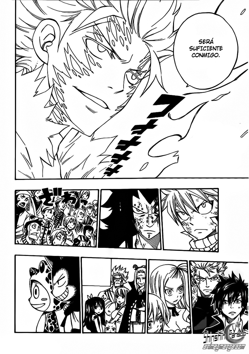 Fairy Tail Capitulo 295 06