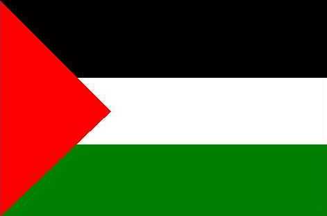 صور علم فلسطين Palestinian-flag