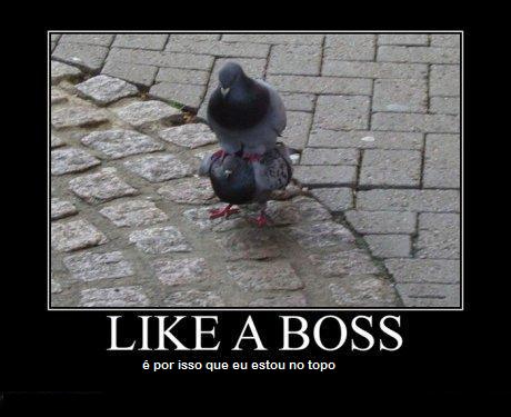 Doação. Likeaboss03