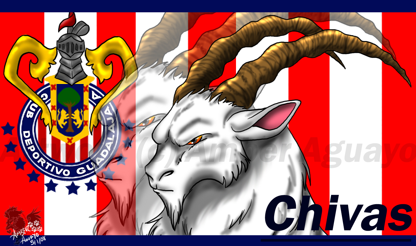 ¿A que equipo le vas? Chivas