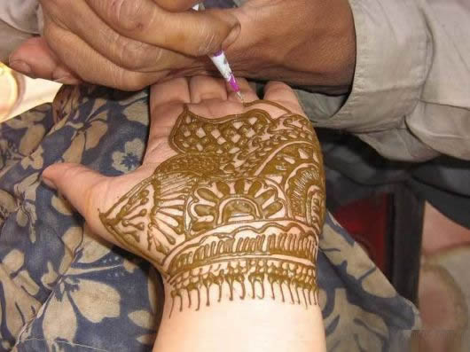 نقوش الحناء الهنديه -ثقافه  Charming_mehndi_designs_17